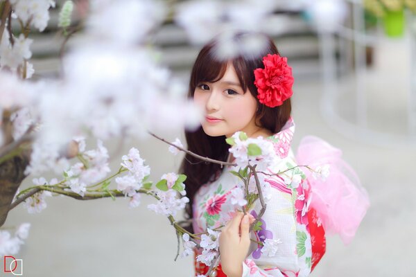 Asiático-elegante foto de una chica con Sakura