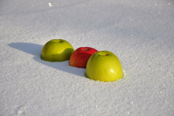 Pommes fraîches sur la neige blanche