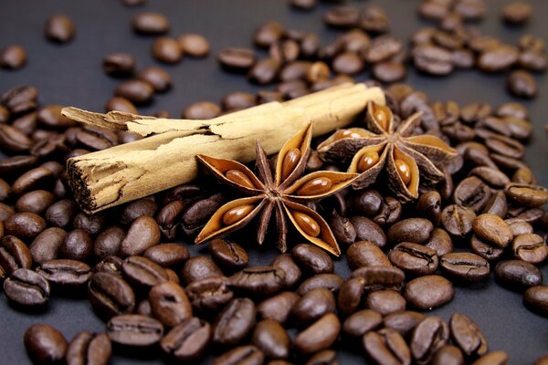 Die besten Zutaten für leckeren Kaffee