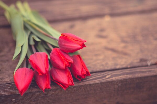 Red tulips are lying on a tree