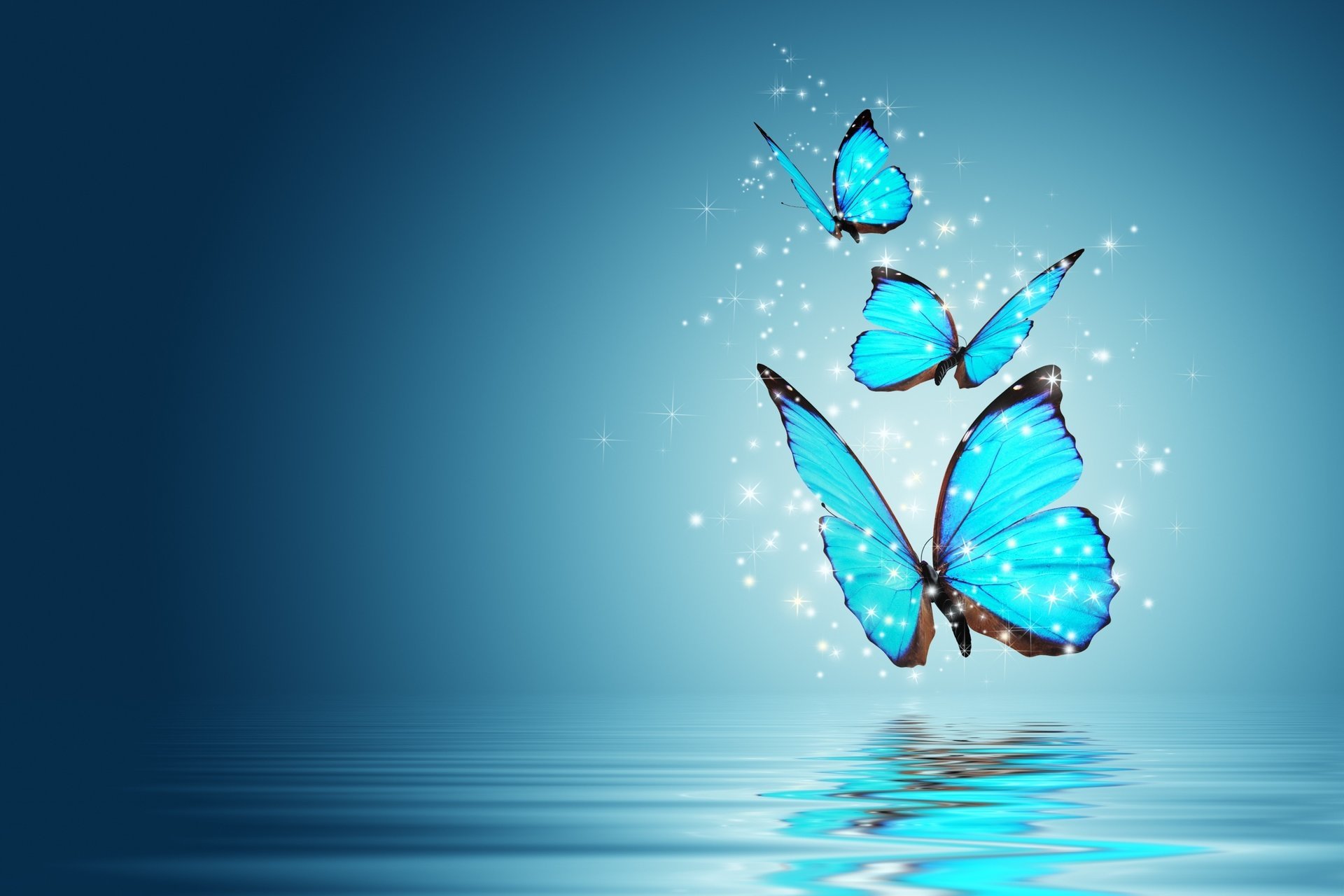 moods butterfly butterflies magic magic butterfly