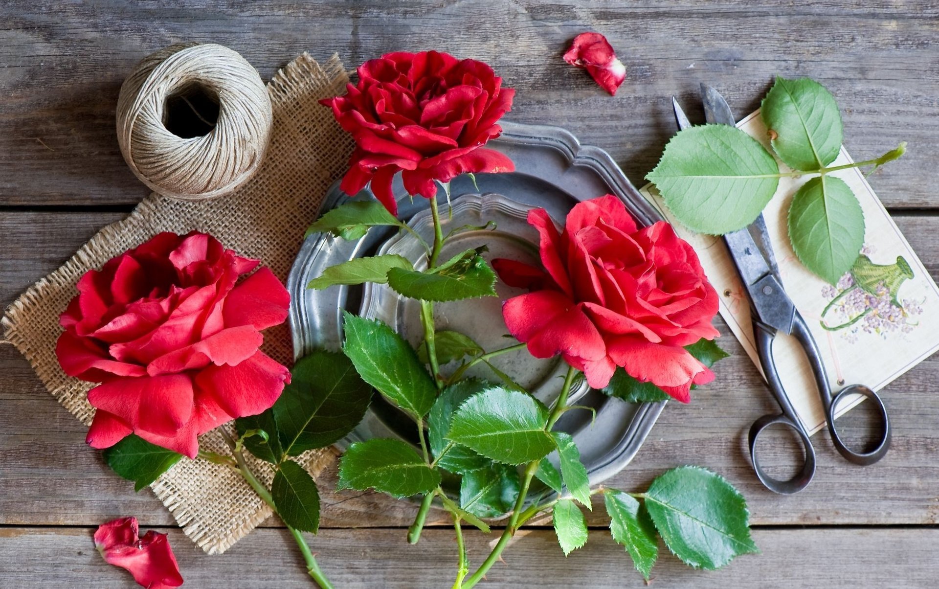 roses scissors rope still life