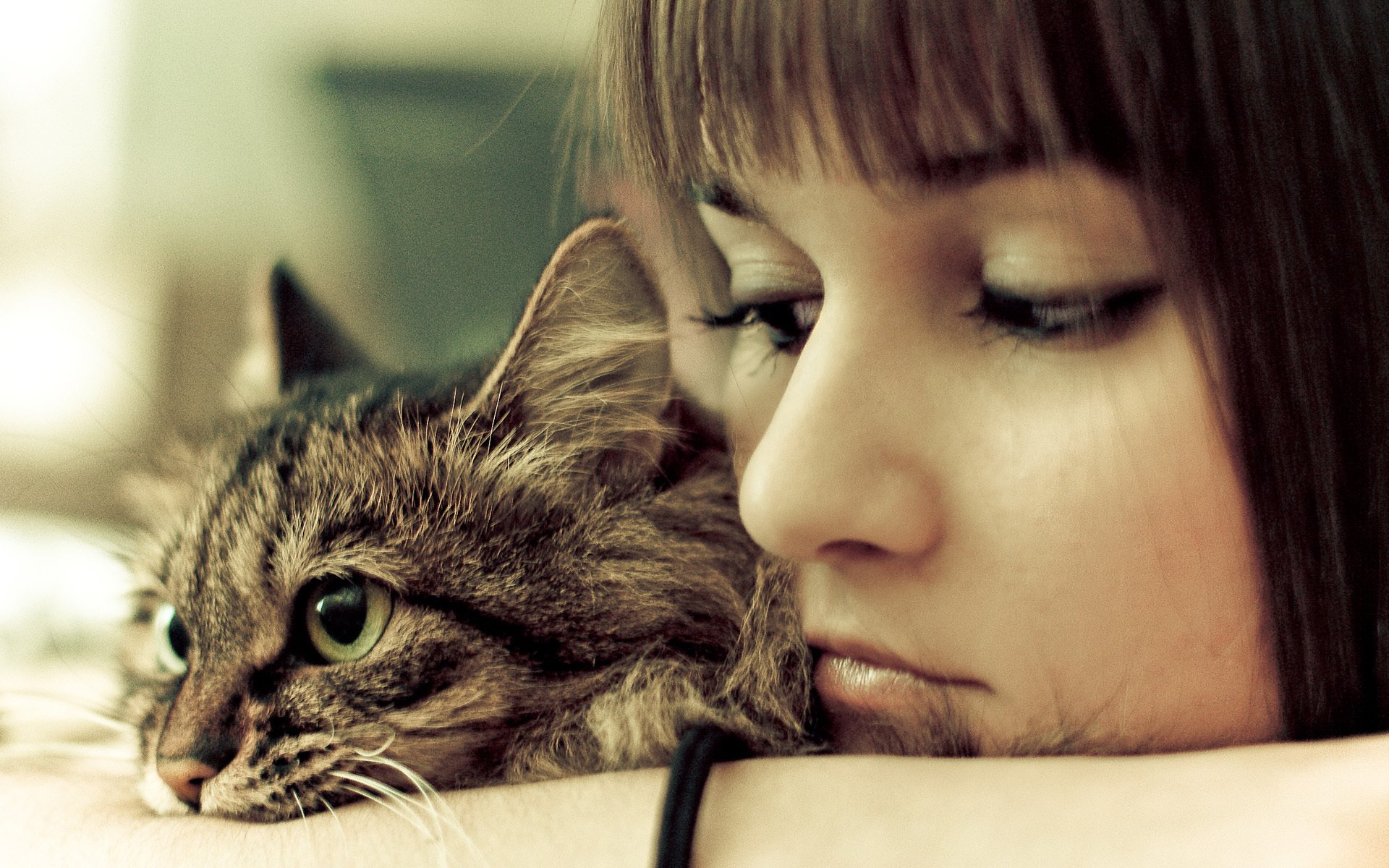 chat fille tristesse