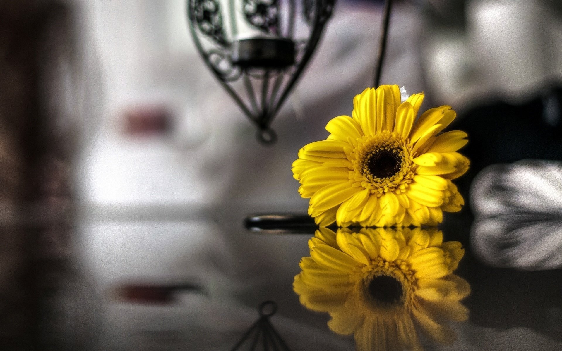 jaune réflexion fleurs noir et blanc fleurs