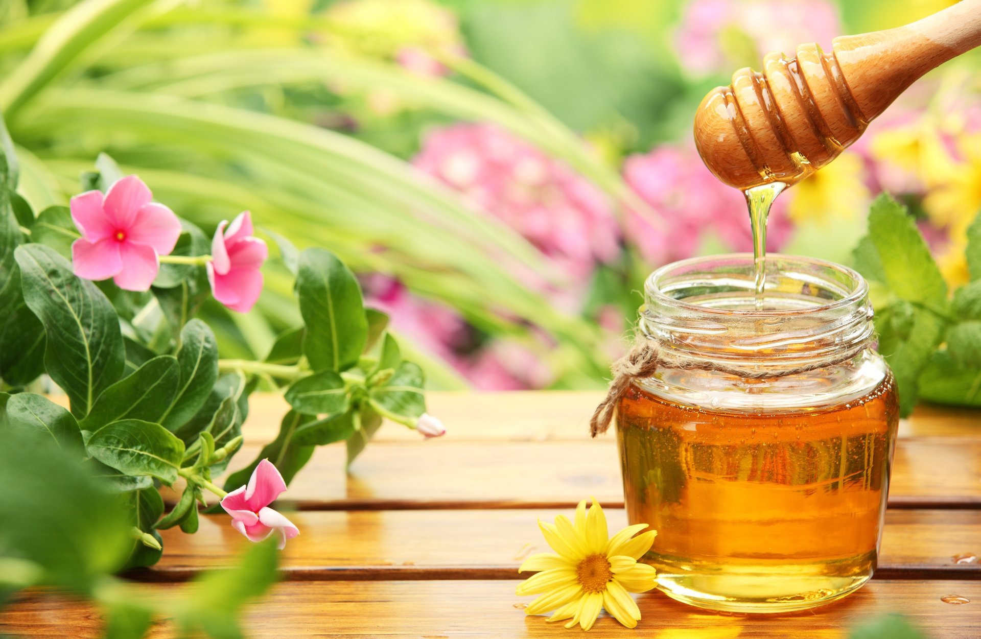 blumen honig holz löffel tisch glas