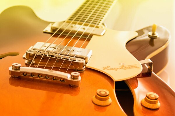 Guitar strings on a sunny background