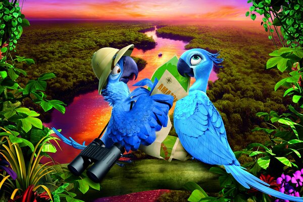Попугаи из мультфильма Рио 2 на закате