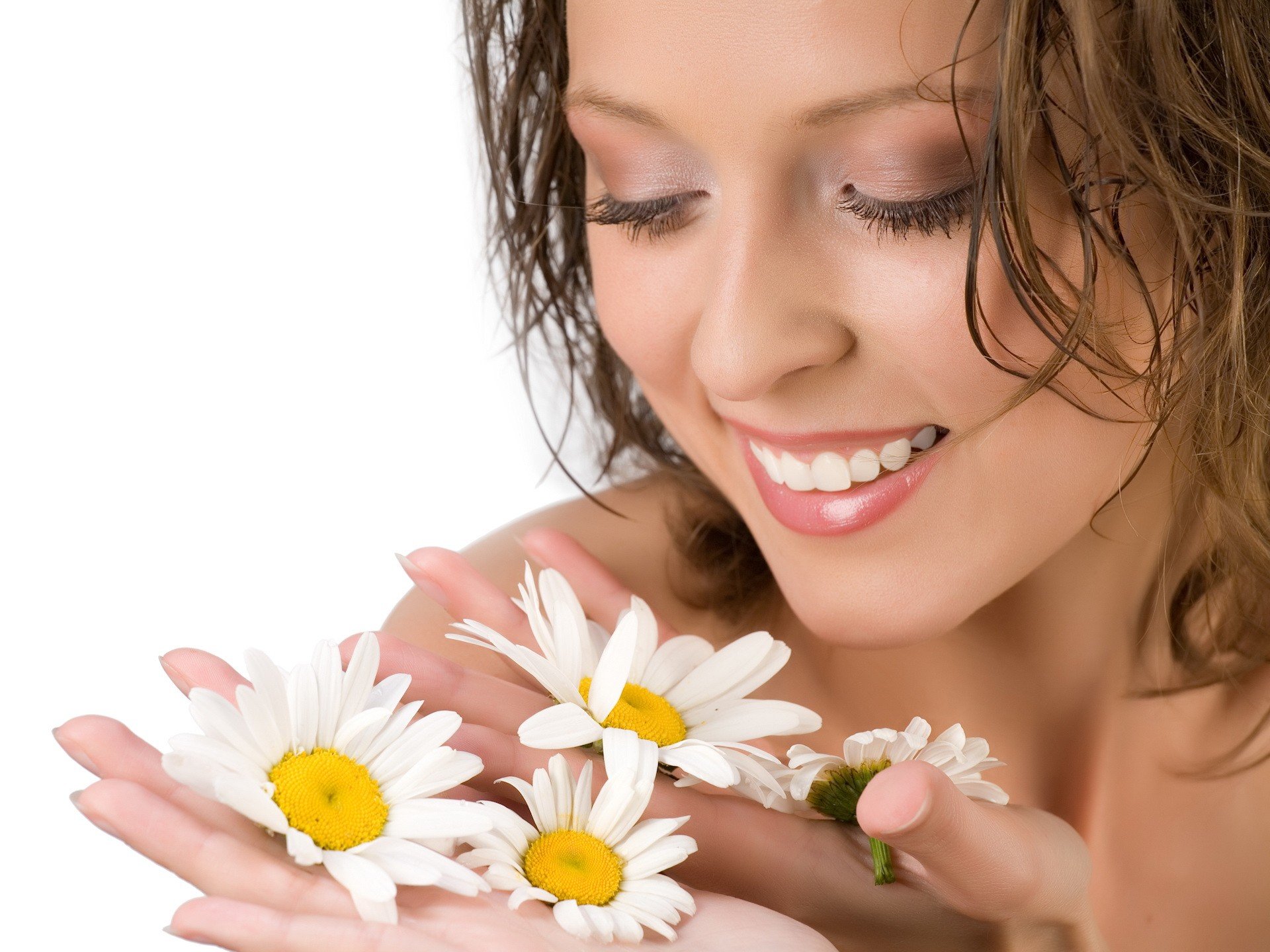 marguerites sourire fleurs