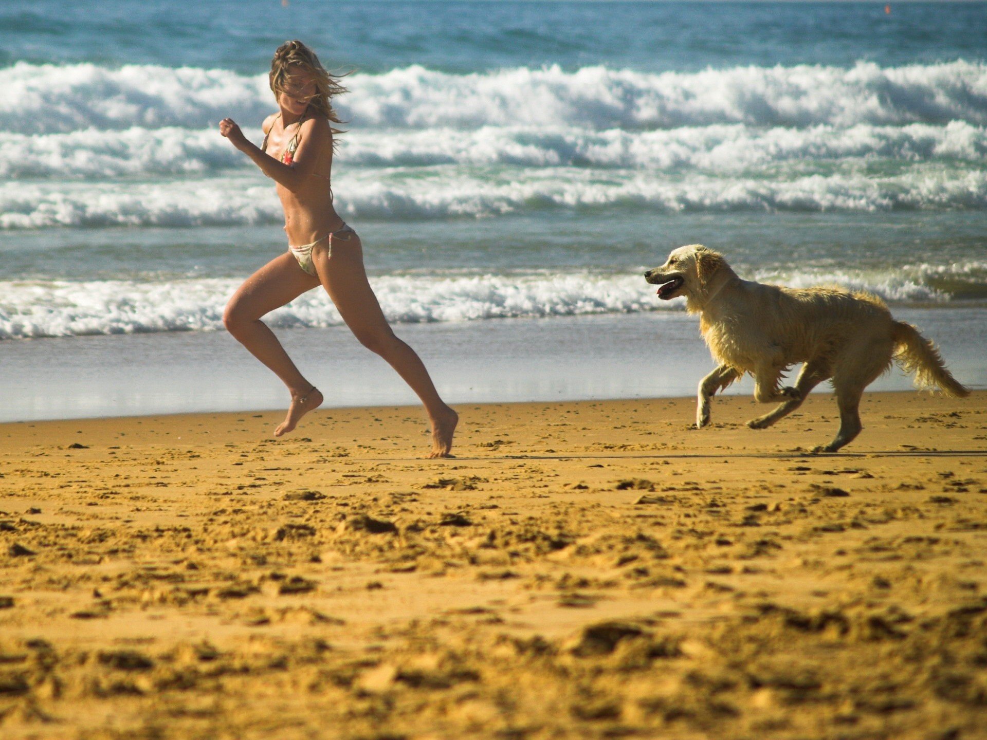 jeu chien plage