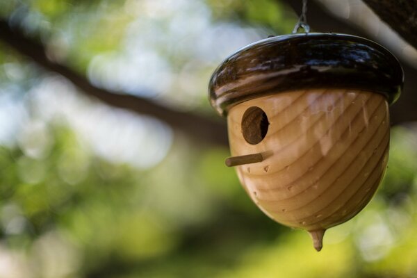 Comedero para pájaros en medio de la naturaleza