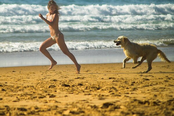 Mädchen und Hund laufen am Strand entlang