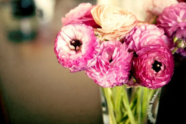 Boutons de renoncules roses dans un vase transparent