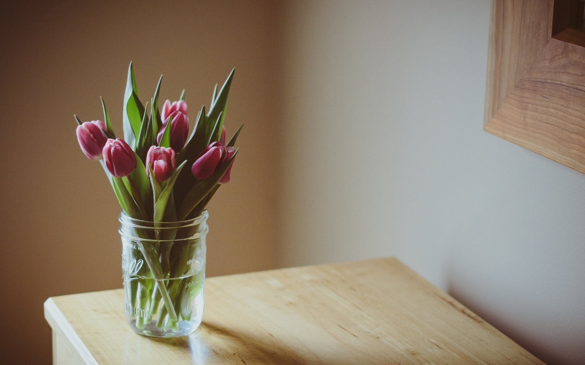 kwiatek flower fioletowe kwiatki tulipany kwiaty