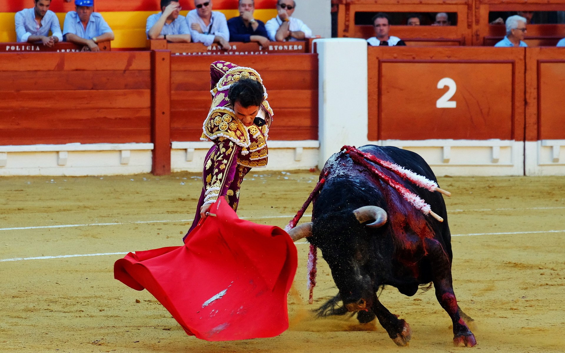 matador taureau espagne