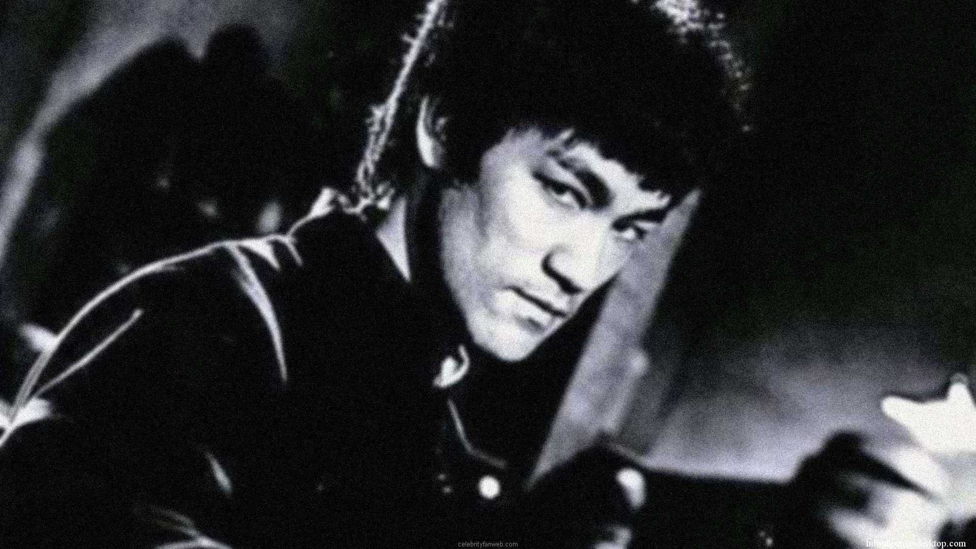 Bruce lee legend fighter