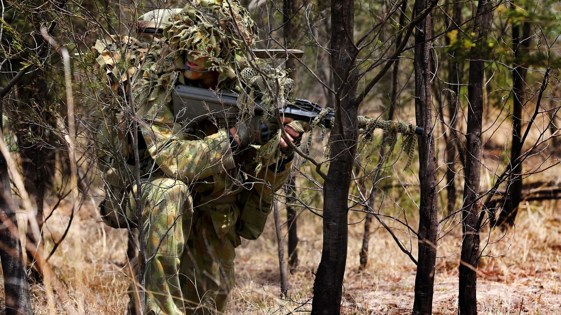 soldato esercito australiano cecchino camouflage foresta