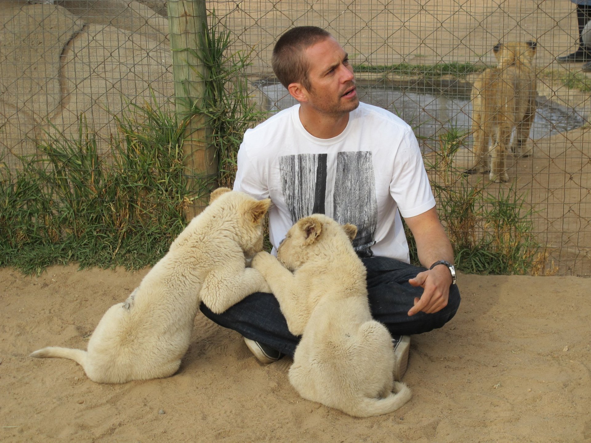 paul walker sonrisa actor