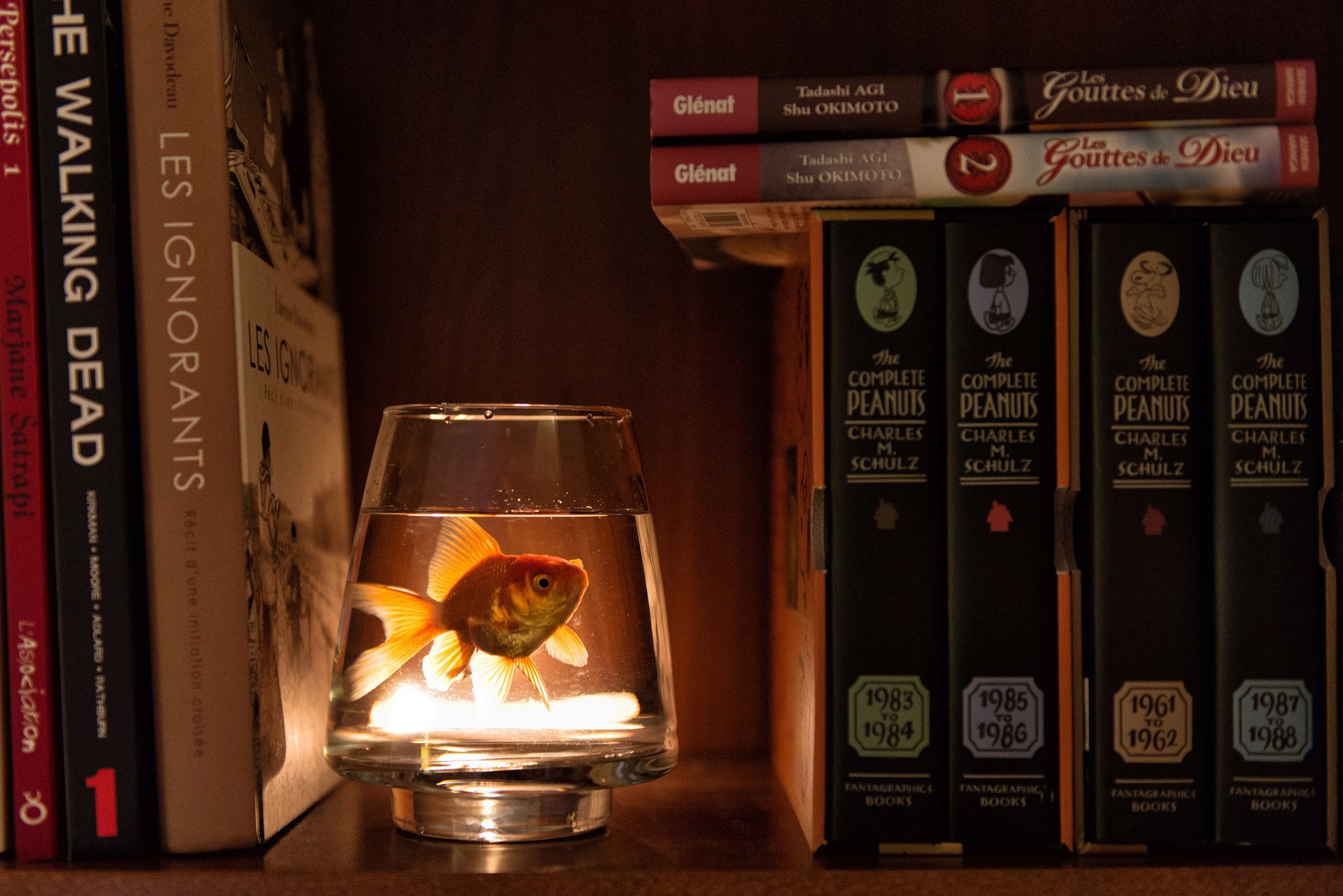 armario pescado agua vaso libros