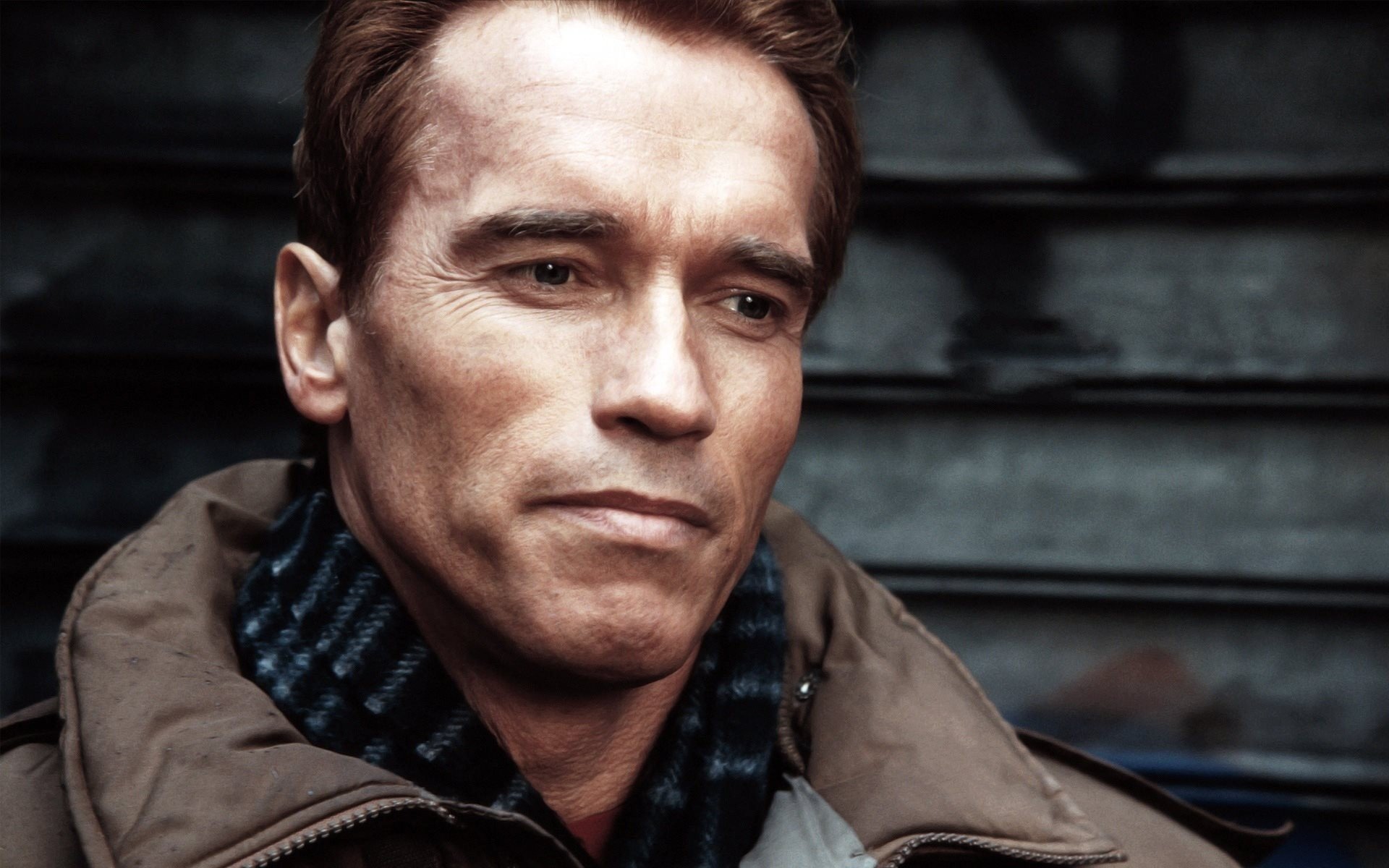 arnold schwarzenegger actor a man