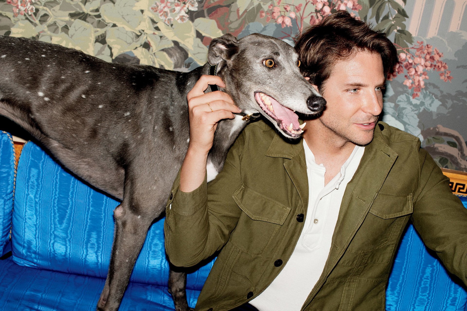 bradley cooper actor sofa dog photo katja rahlwes detail