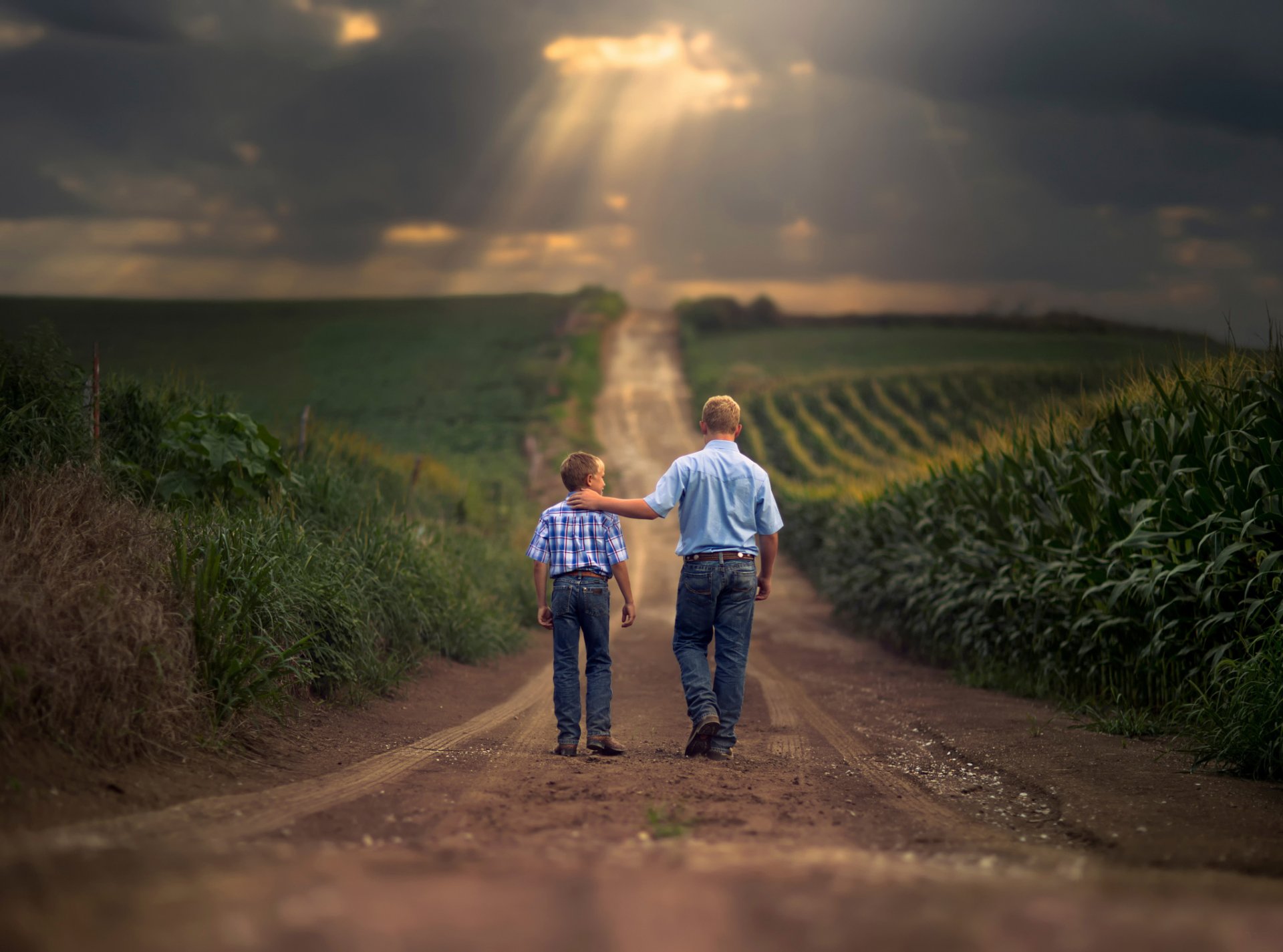 ragazzi agricoli padre figlio strada campi spazi aperti