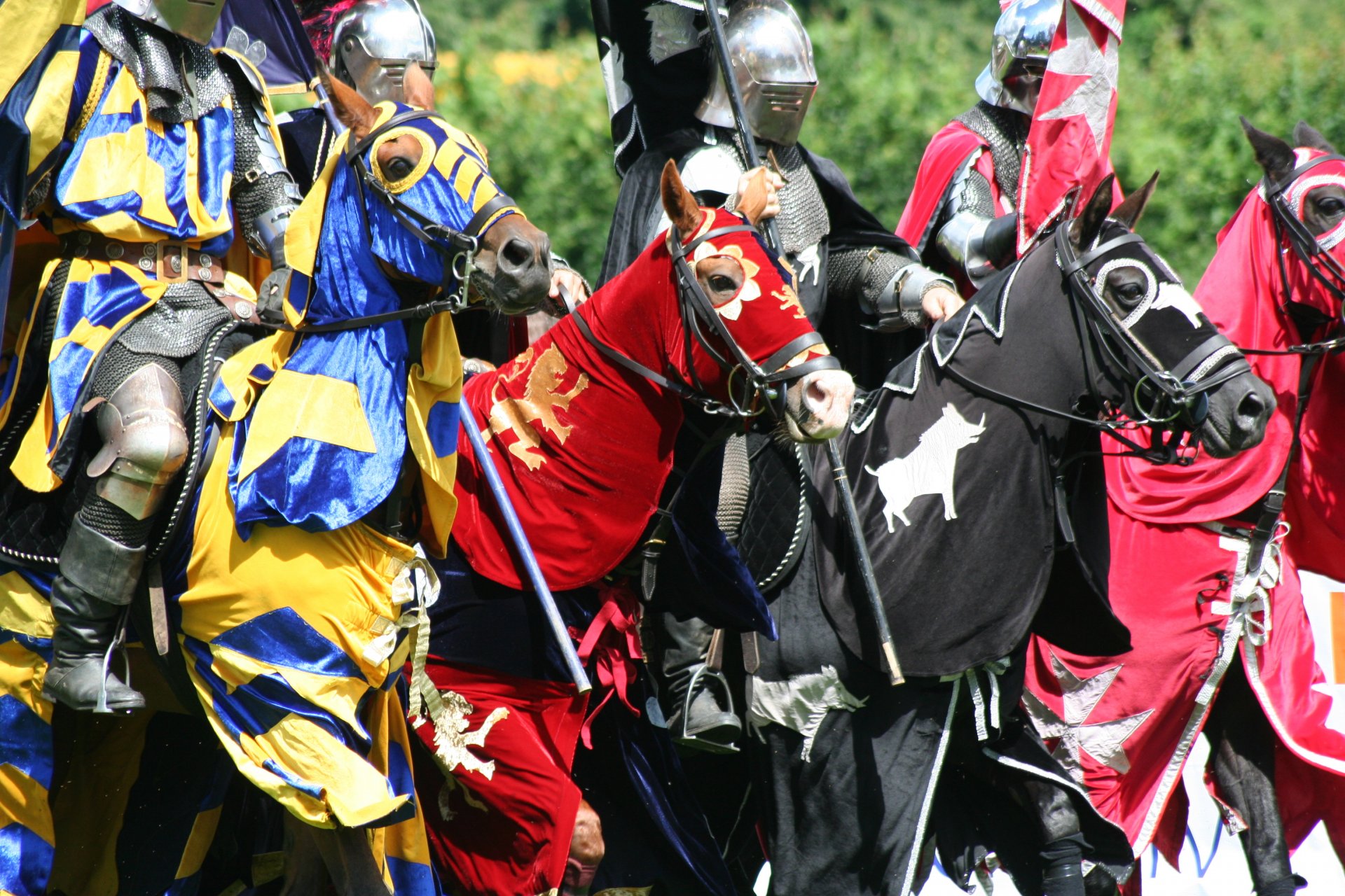 caballeros guerreros caballos caballos