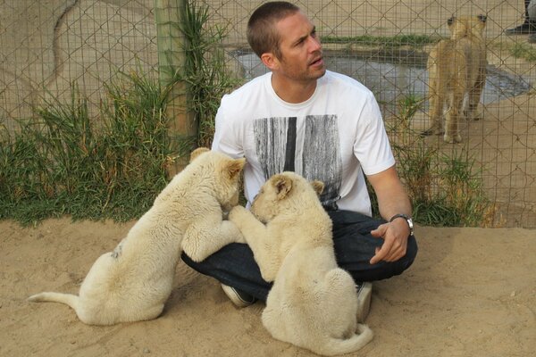 Paul Walker surrounded by white tiger cubs