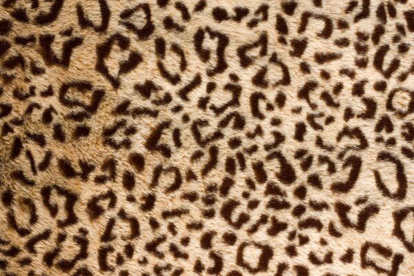 Leopard Cord Fur Rectangular