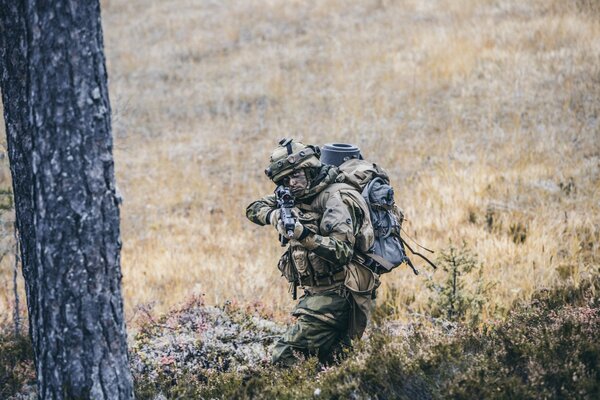 Un soldat norvégien tient à la vue