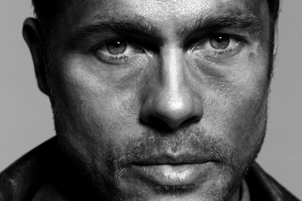 Portrait en noir et blanc du célèbre Brad Pitt