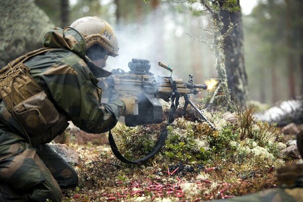 Military exercises in forest conditions