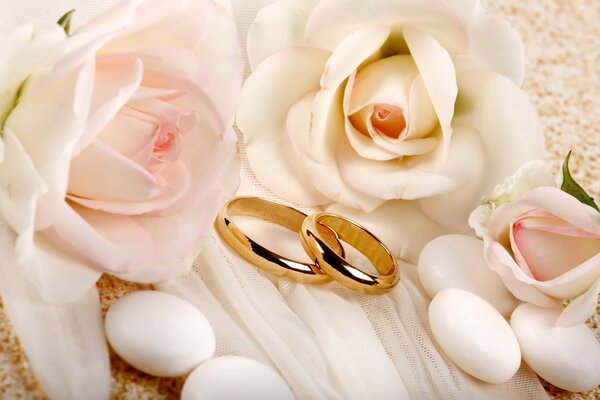 Wedding rings on a background of flowers. Delicate roses and rings. Pastel colors