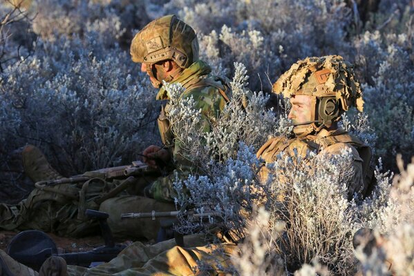 Soldats en uniforme se trouvent parmi les plantes