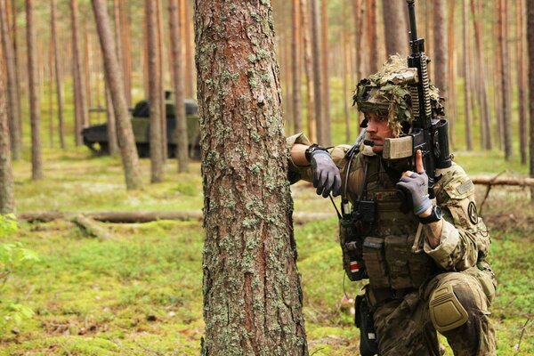 Tank and soldier with weapons among tall trees