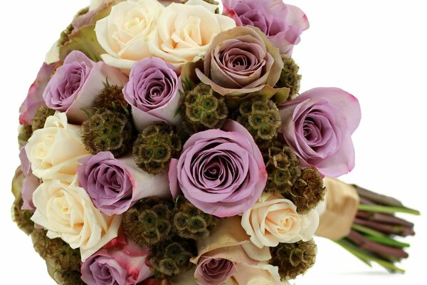 Bouquet of multicolored flowers on a white background