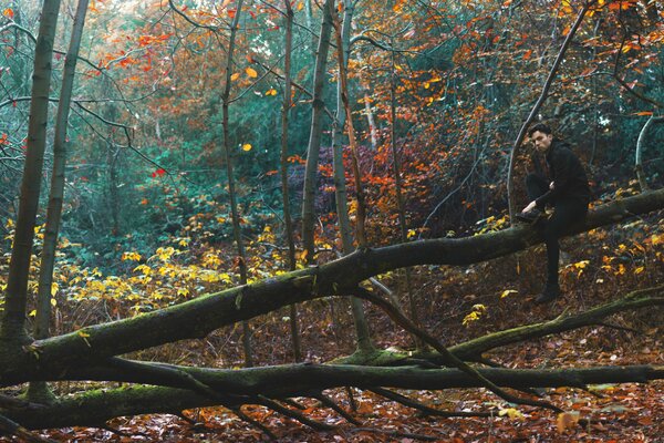 A guy sitting on a fallen tree in the autumn forest