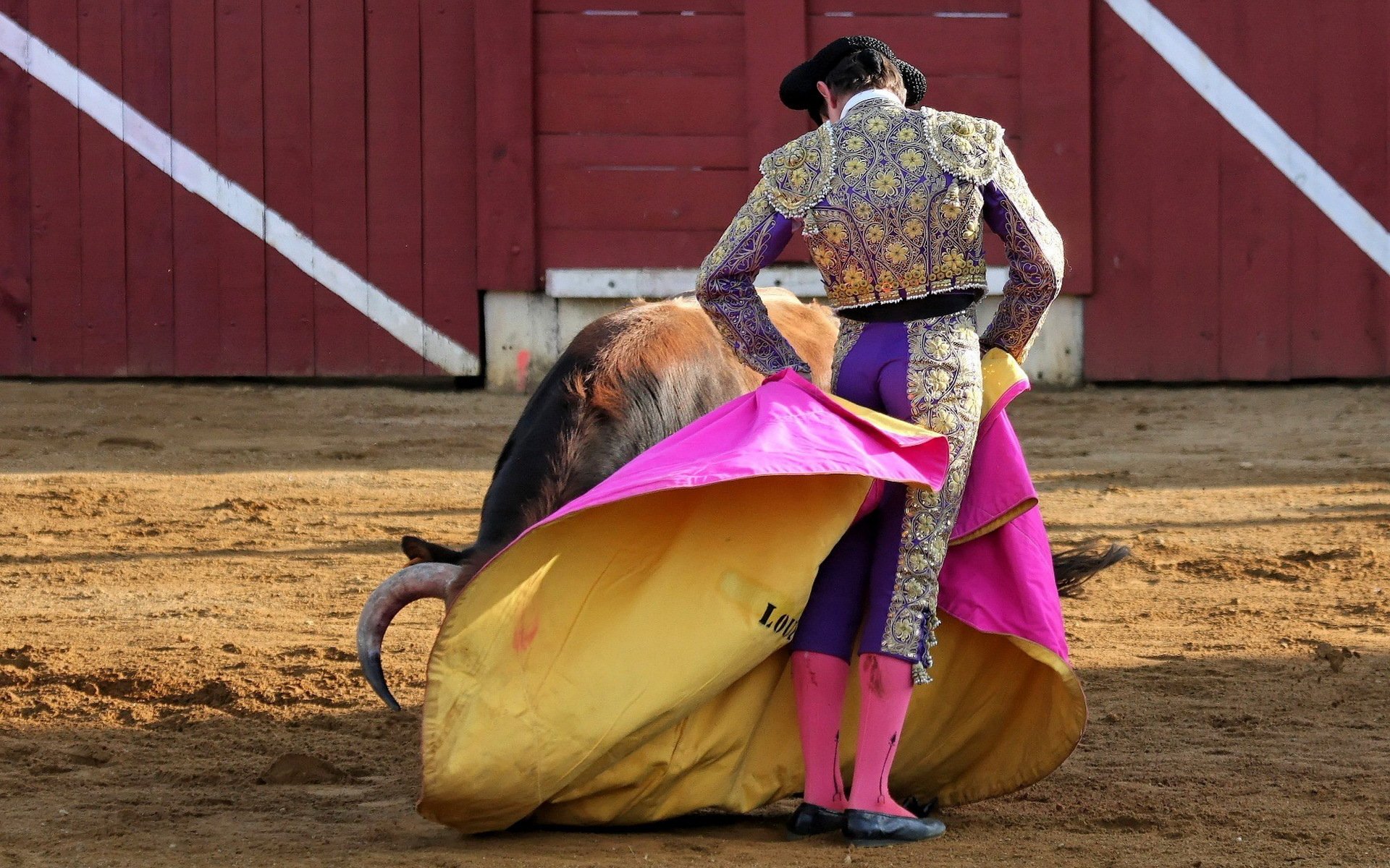 matador bull corida