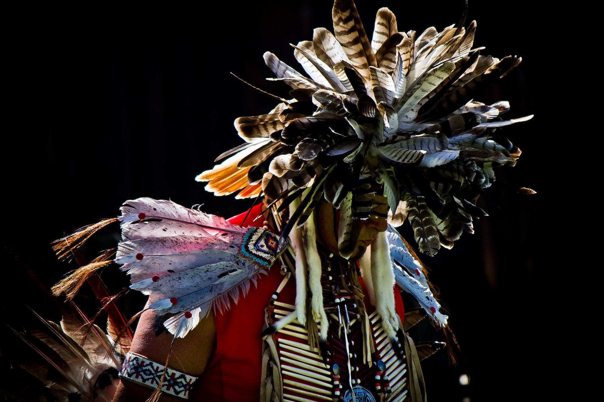 indianin mężczyzna pow wow pióra