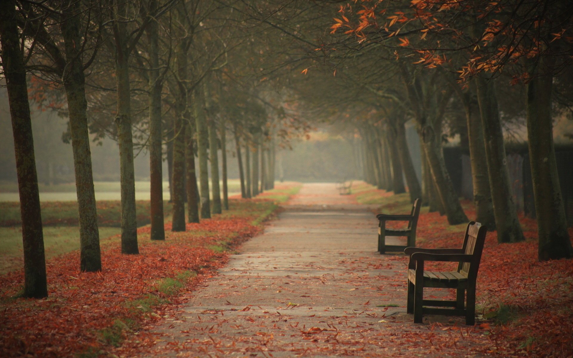 stadt herbst straße