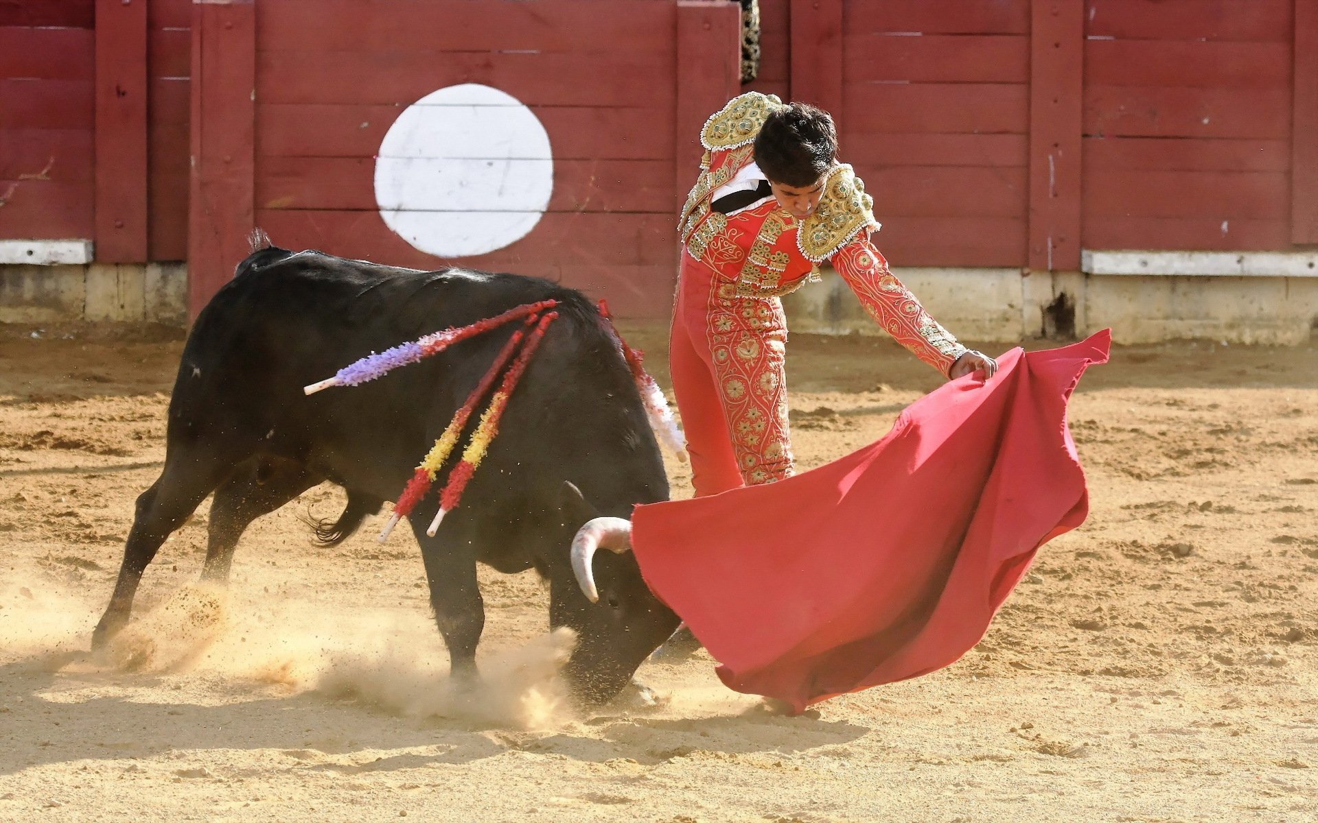 matador bull corrida