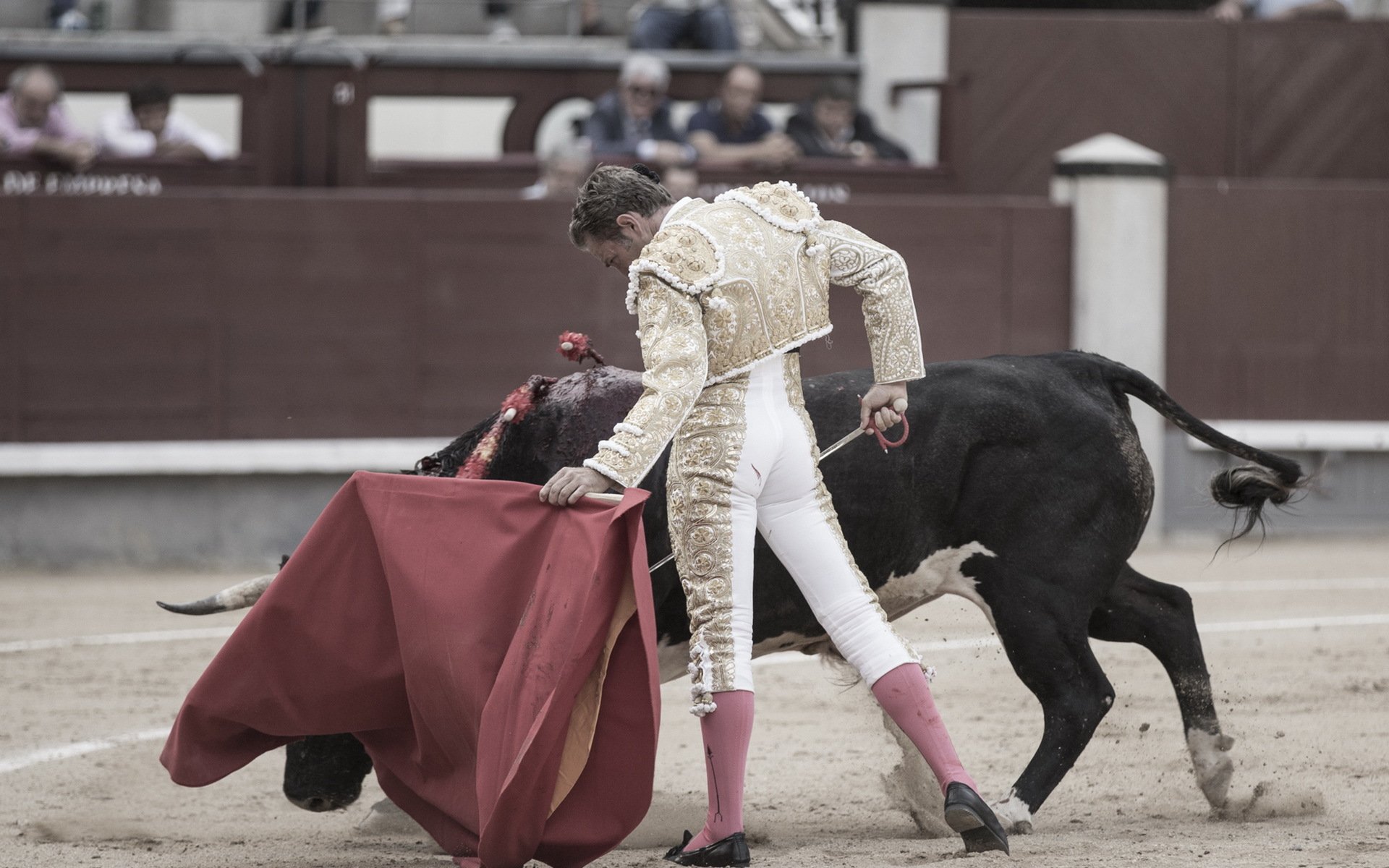 matador bull corrida