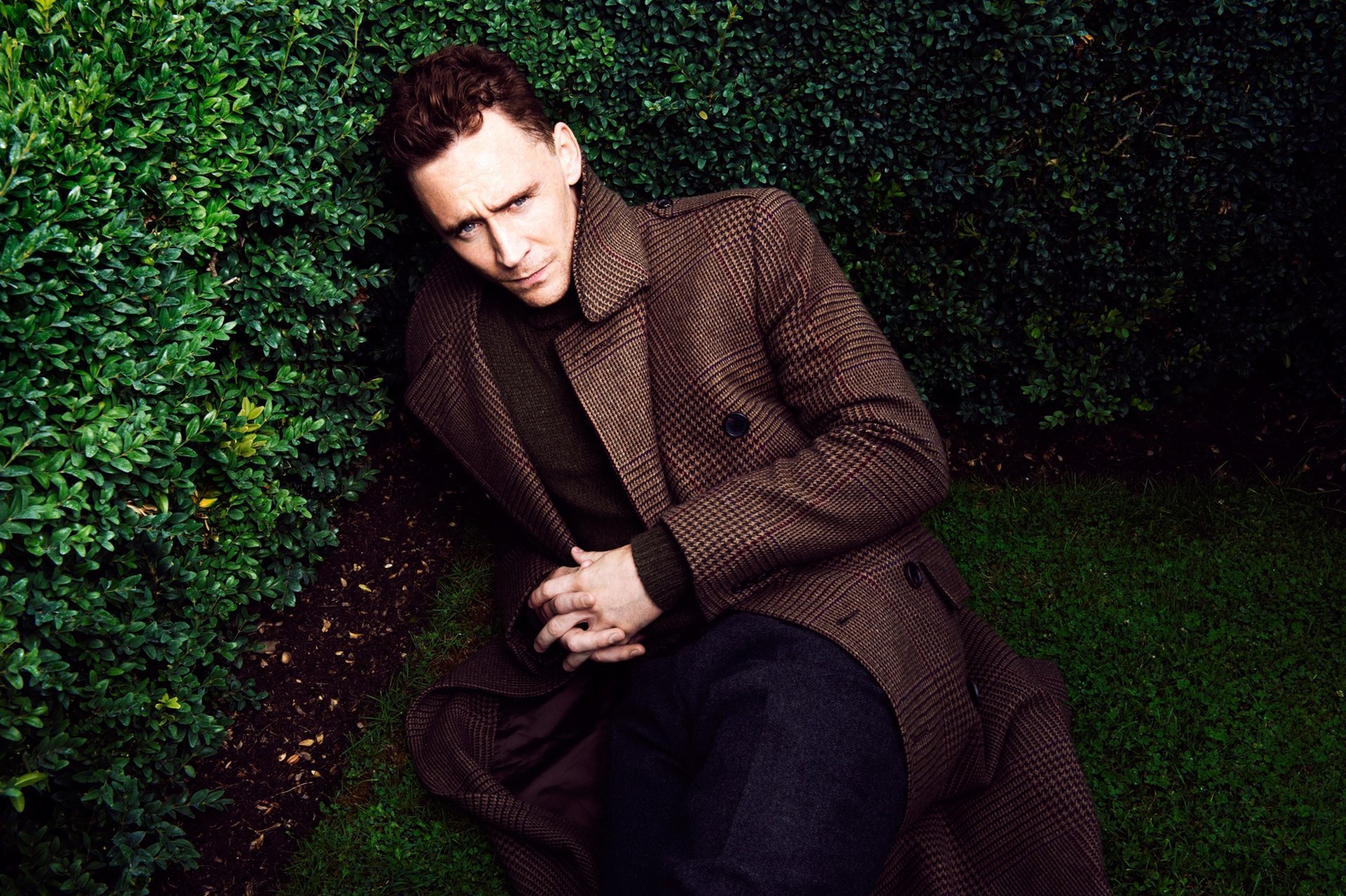 hiddleston tom hiddleston man actor coat bushes background mood