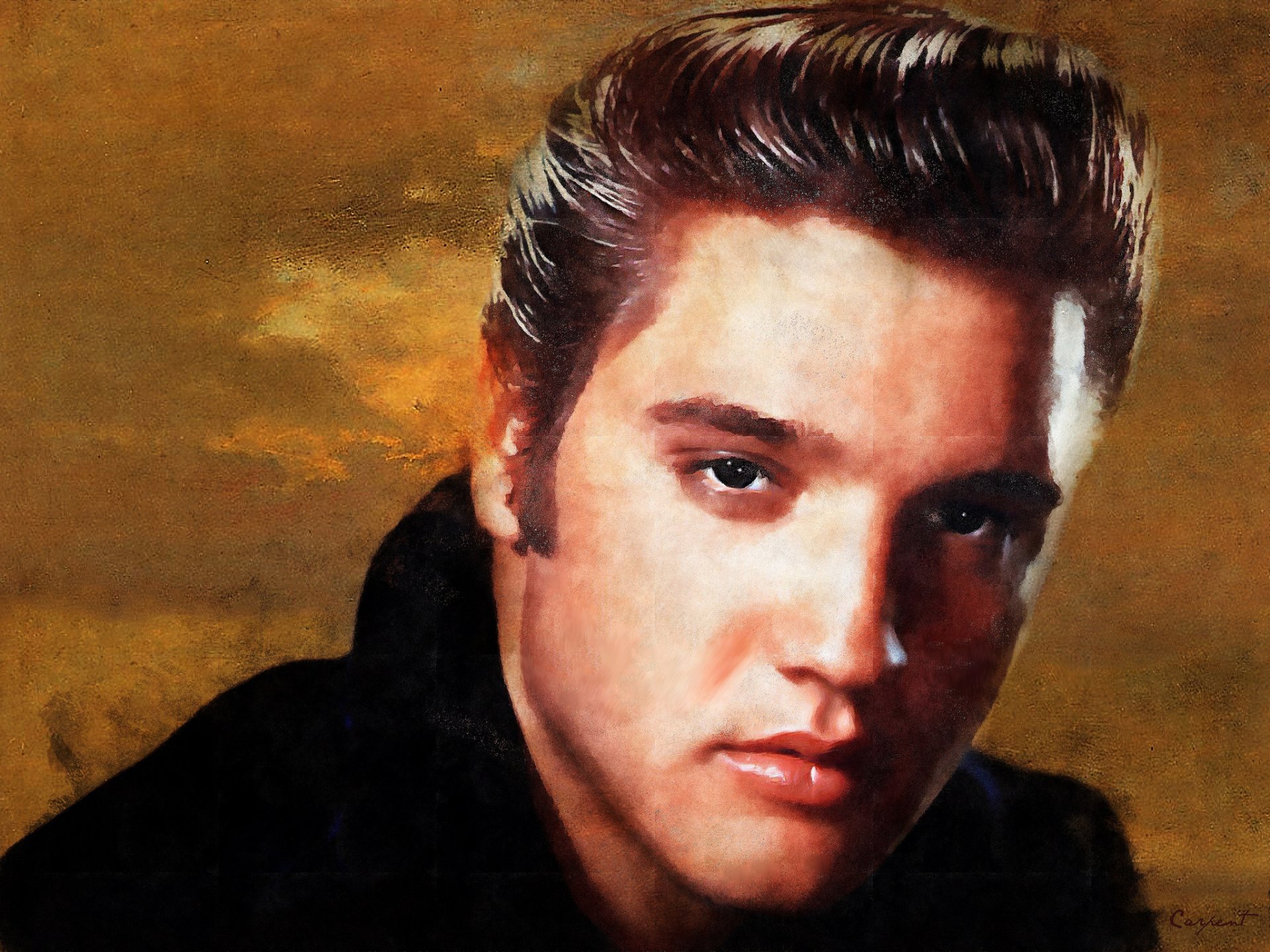 elvis presley elvis presley rock and roll musicien chanteur look