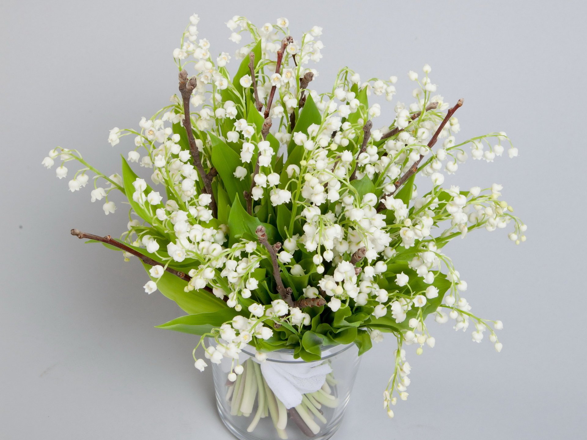 pring spring nature bouquet flowers flower lilies of the valley