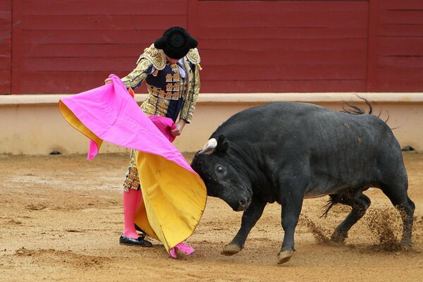 Black bull and matador with pink rag