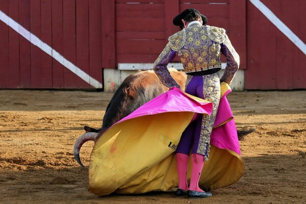 Matador und Stier auf spanischem Korid