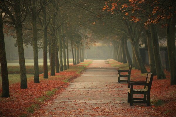 Jesienny park miejski z ławeczkami