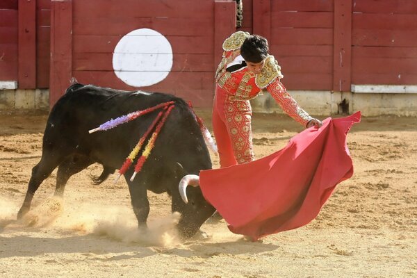 Corida ein wütender Stier und ein Matador mit einem roten Tuch