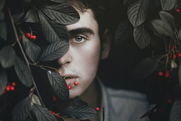 The parent looks from behind a tree with red berries