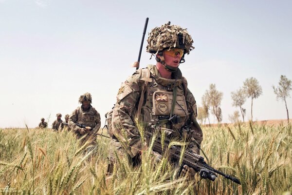 Soldats en camouflage, avec des armes à feu, marchant parmi les hautes herbes